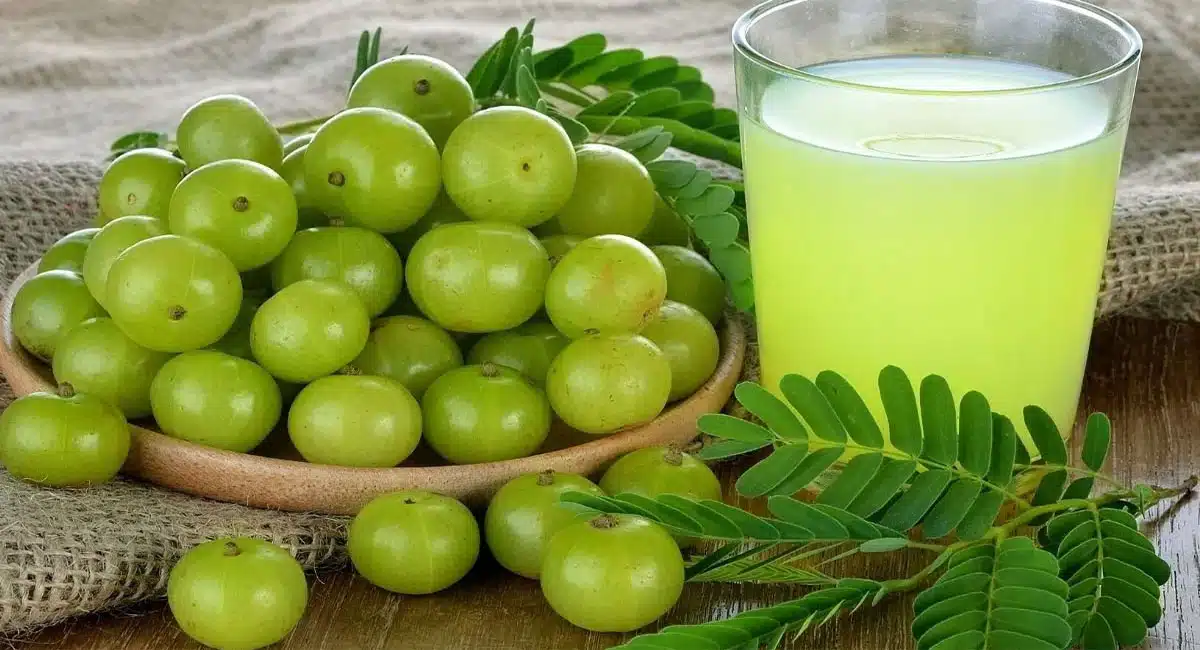 amla health benefits telugu