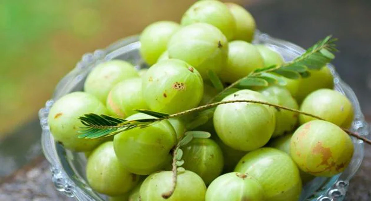 amla health benefits telugu