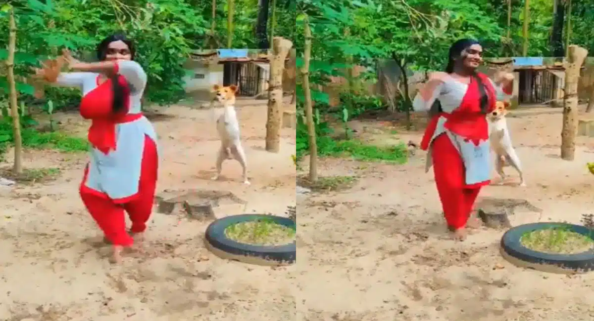 viral video of young girl dance and dog
