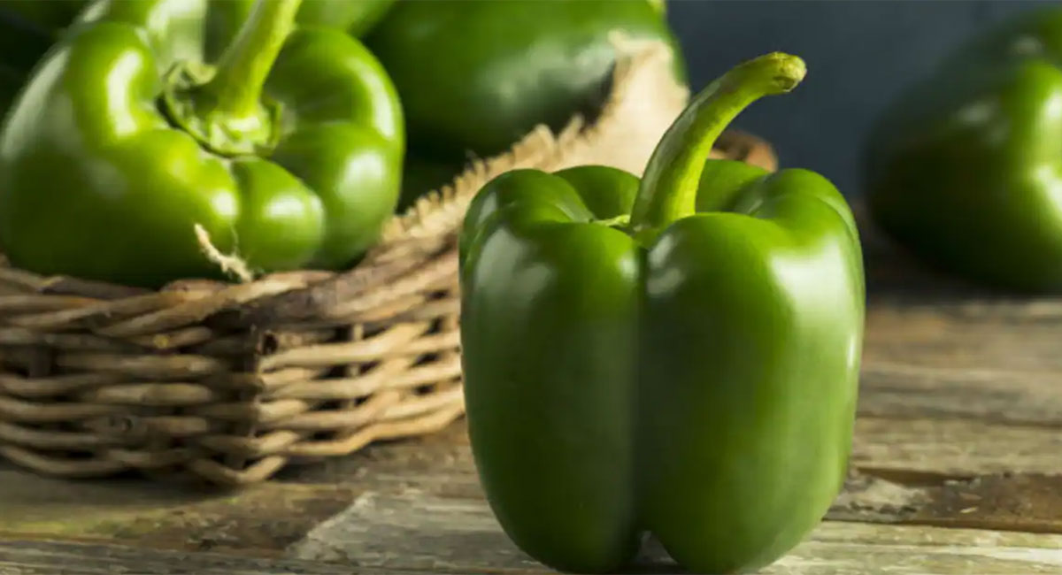 Capsicum : క్యాప్సికం గురించి అసలు నిజం తెలిస్తే.. వెంటనే మార్కెట్ కు వెళ్లి కొనుక్కొని తినేస్తారు..!