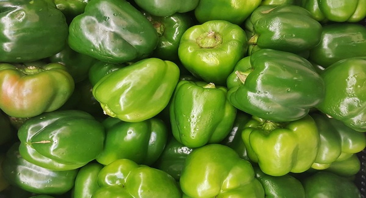 capsicum health benefits telugu