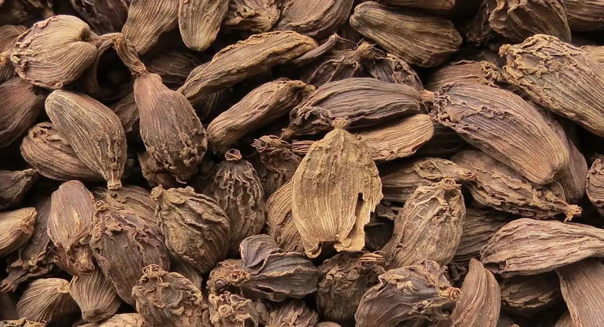 black cardamom health benefits telugu