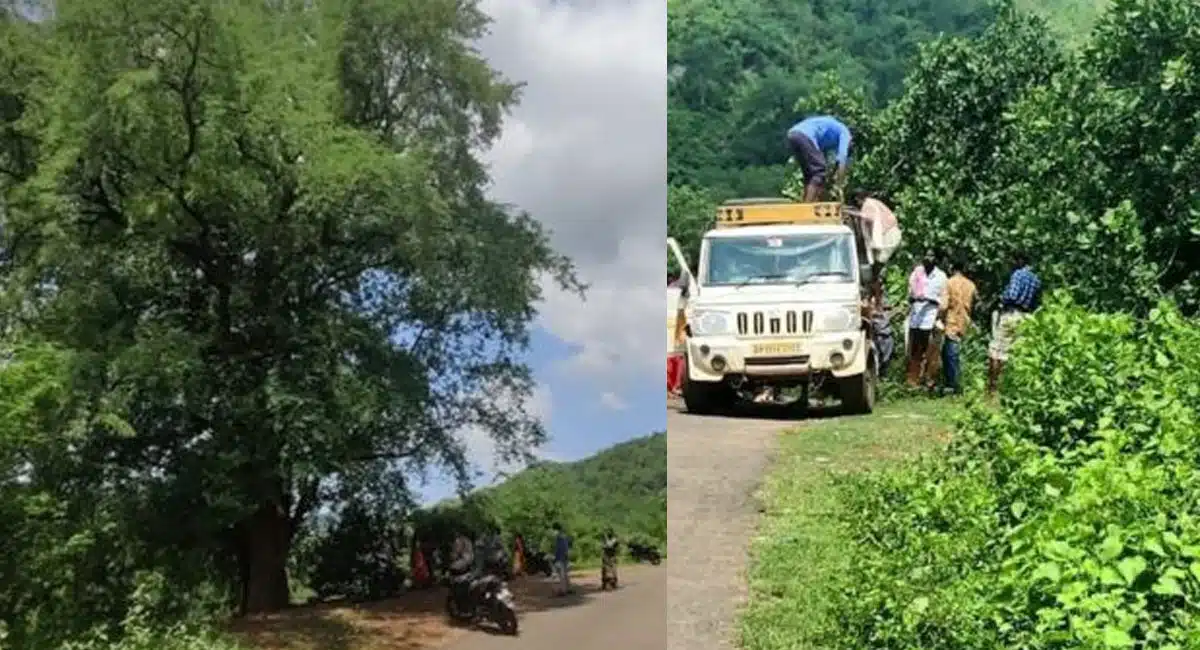 vizag agency people struggle for phone signal in velagapadu