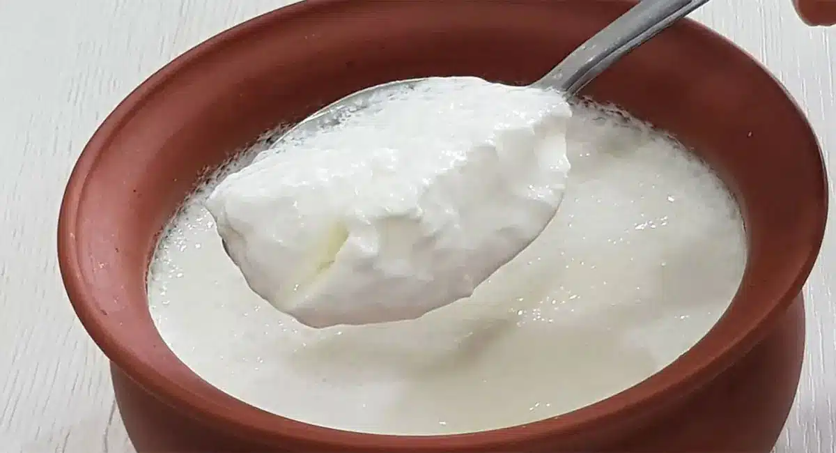curd health benefits telugu