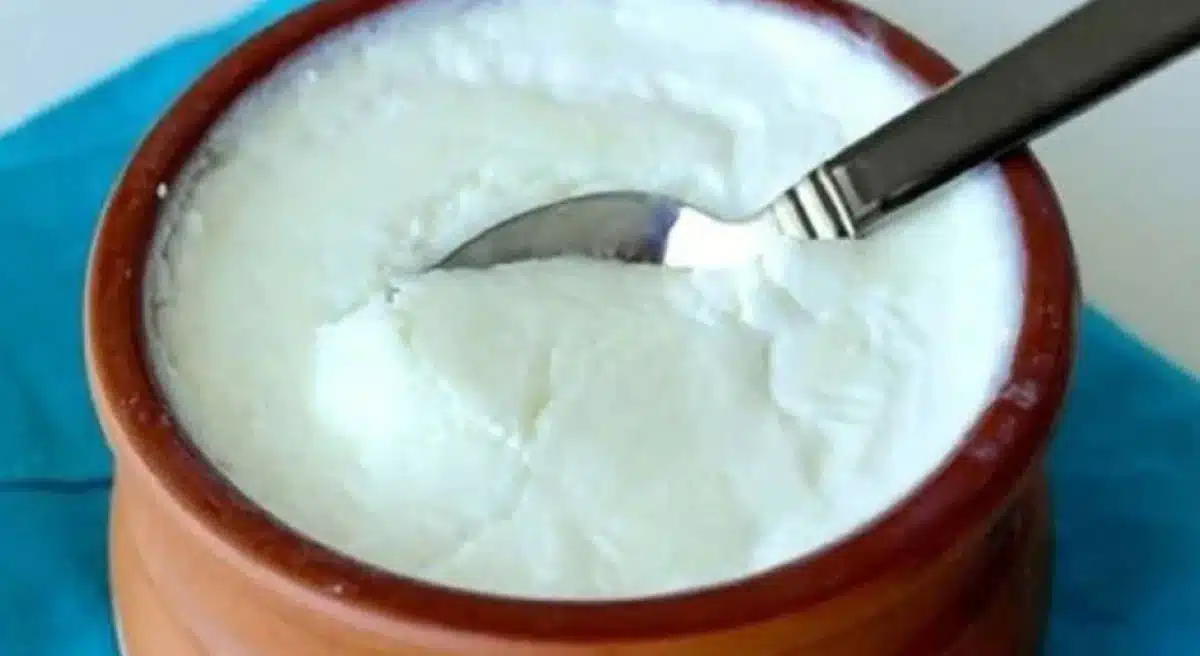 Health Benefits of curd