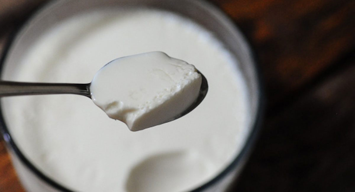 Health Benefits of curd