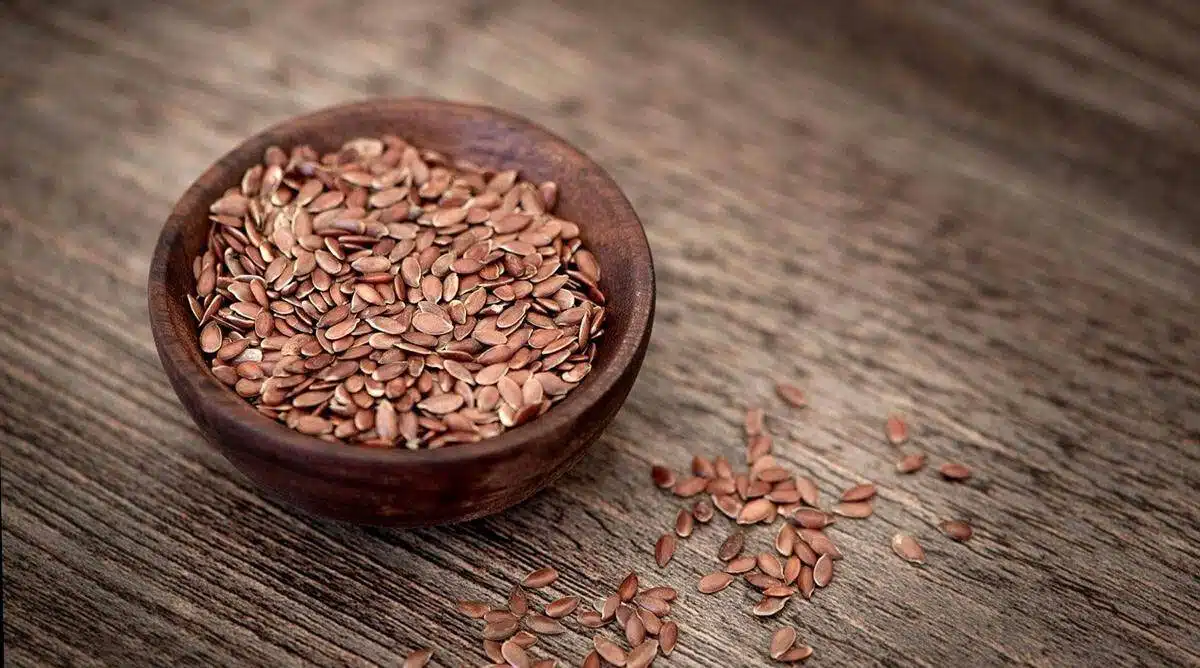 Health Benefits in Flax seeds