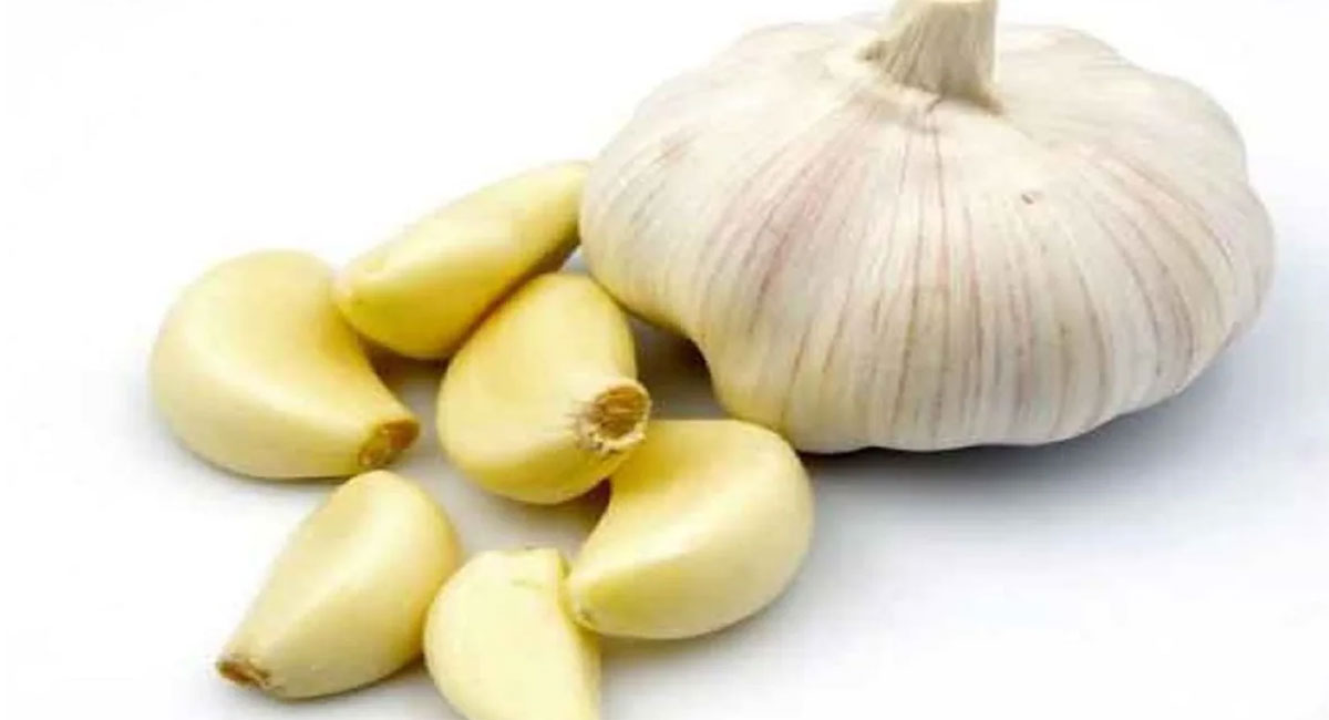 health benefits telugu garlic under pillow