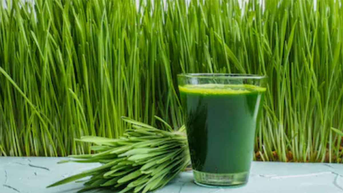 wheat grass juice health benefits telugu