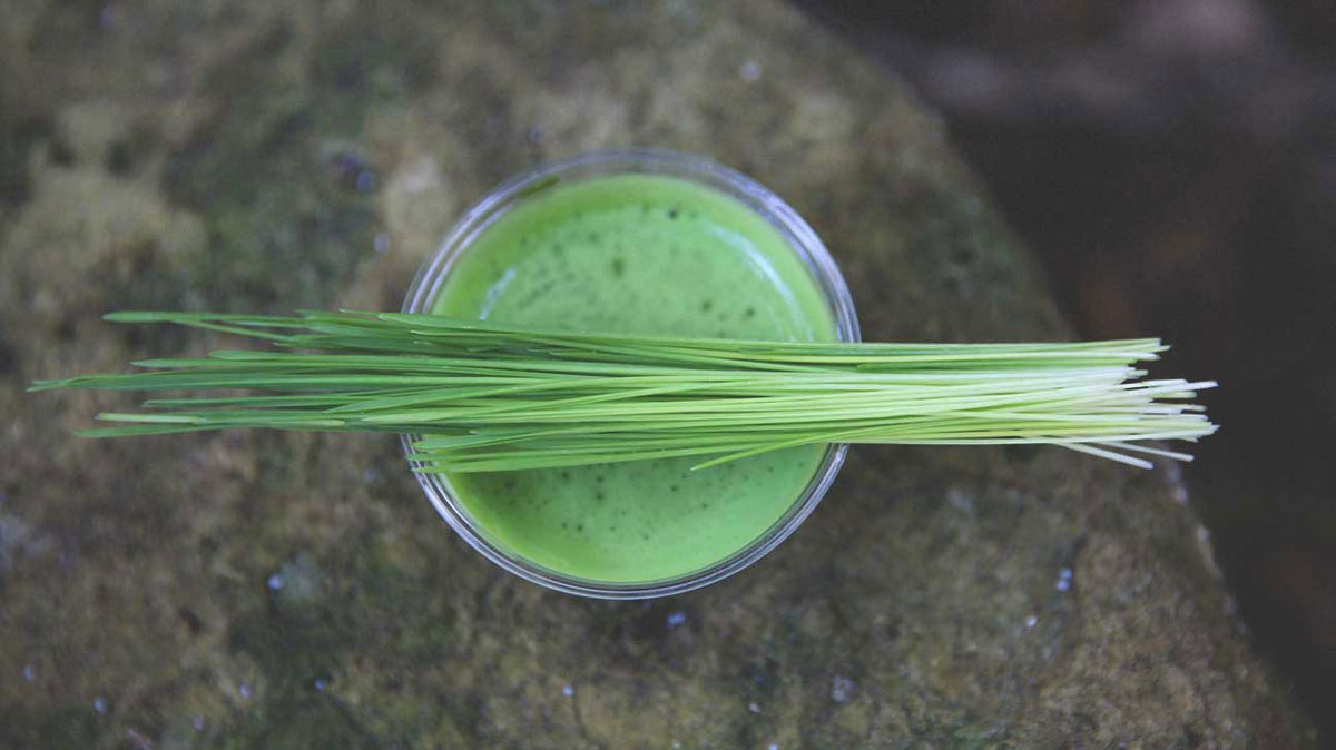 wheat grass juice health benefits telugu