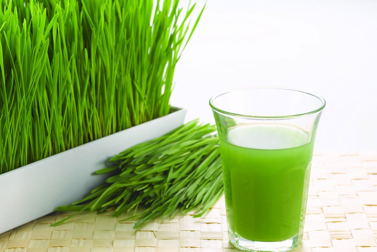 wheat grass juice health benefits telugu