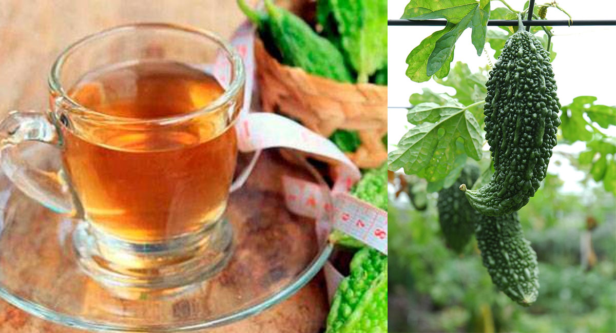 kakarakaya tea health benefits telugu for diabetes