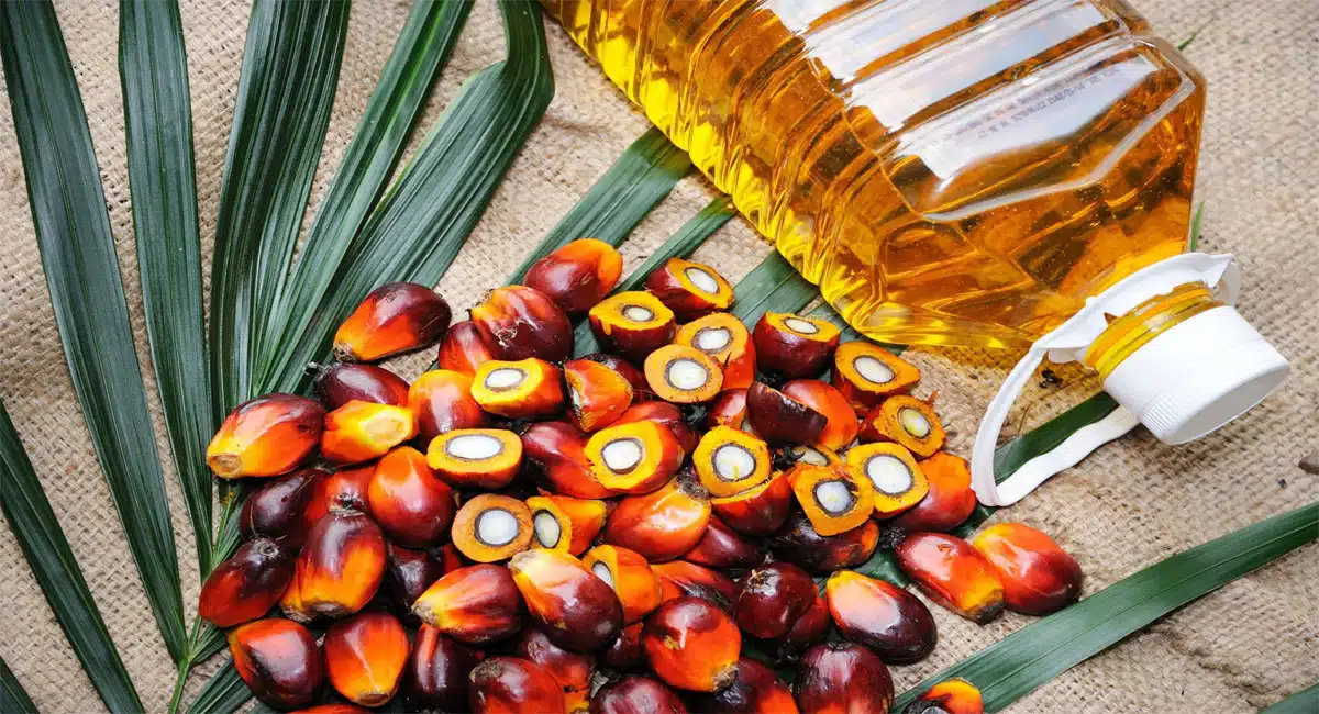 palm oil side effects telugu