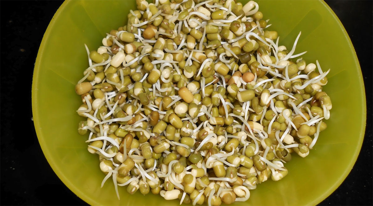 sprouts health benefits telugu