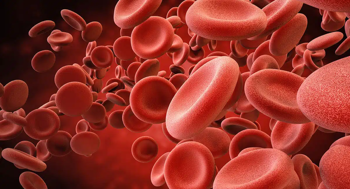 how increase platelet count in blood with food