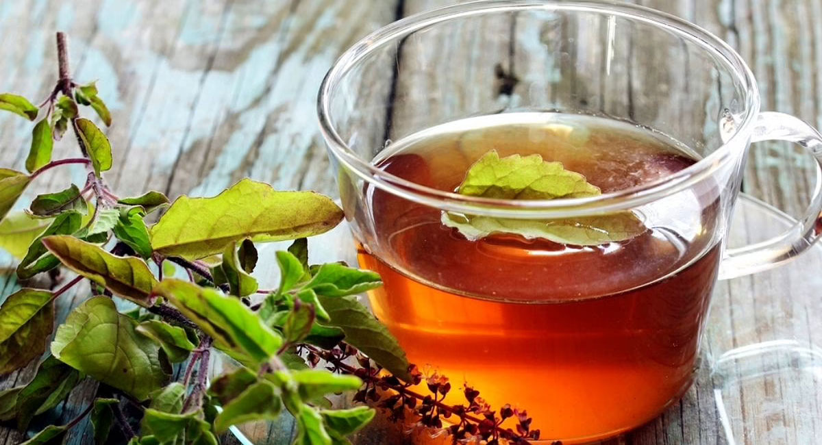 tulsi tea health benefits for weight loss telugu