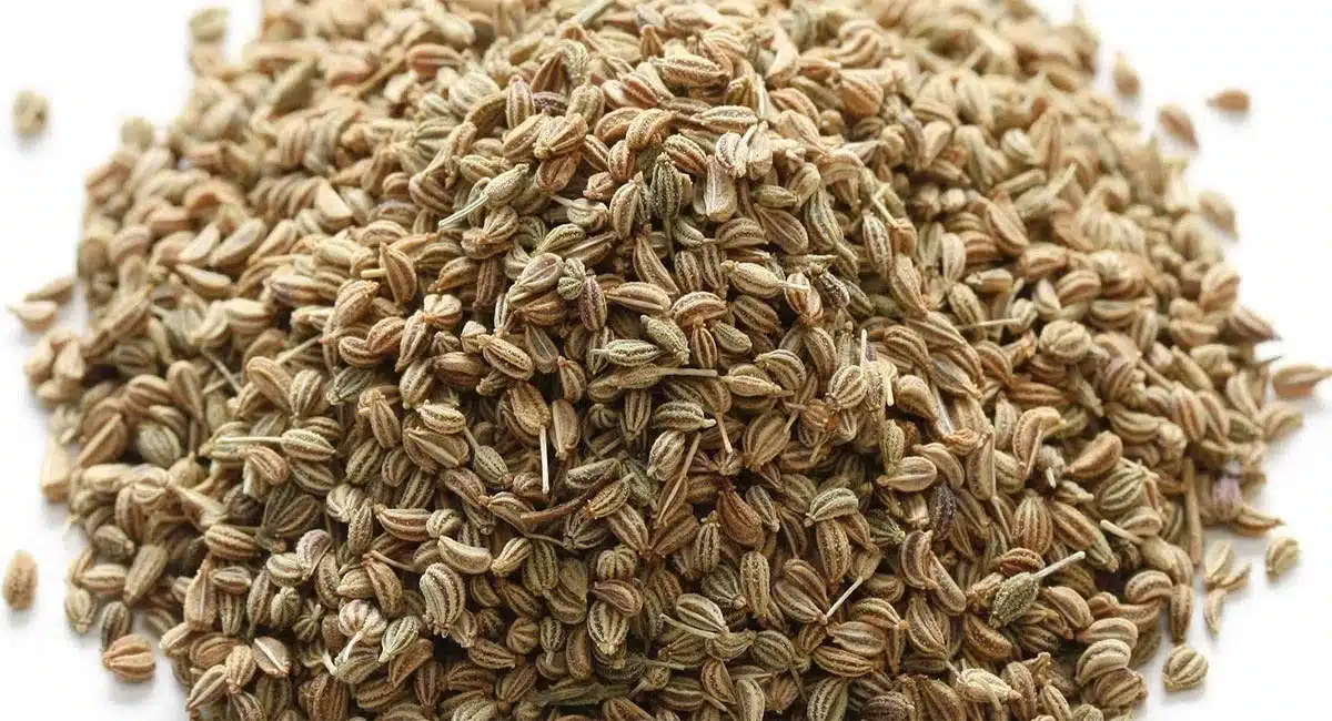 Health Problems ajwain seeds you must know this side effects