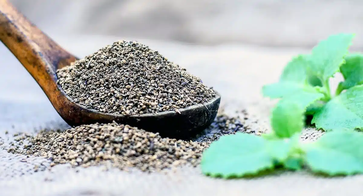 vamu health benefits telugu ajwain