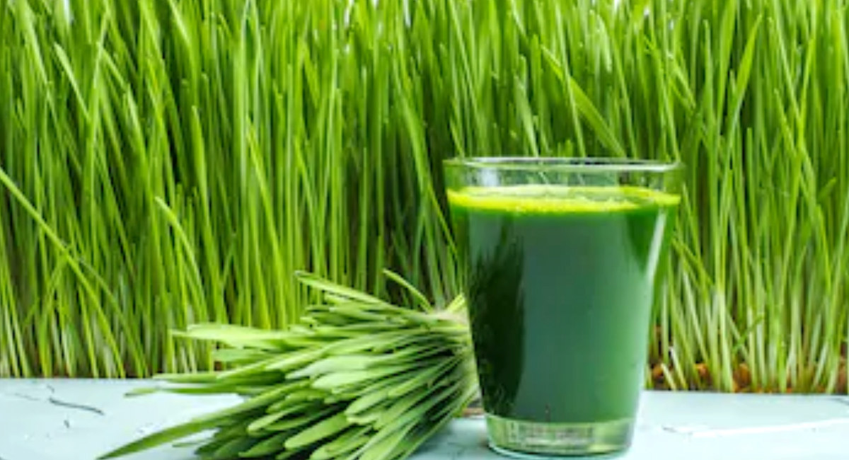 Wheat Grass Juice : గోధుమ గడ్డి జ్యూస్ ఎప్పుడైనా తాగారా? చాలా అనారోగ్య సమస్యలు నయం అవుతాయి..!