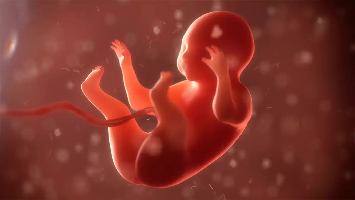 fetus pregnant in mother womb trending news telugu