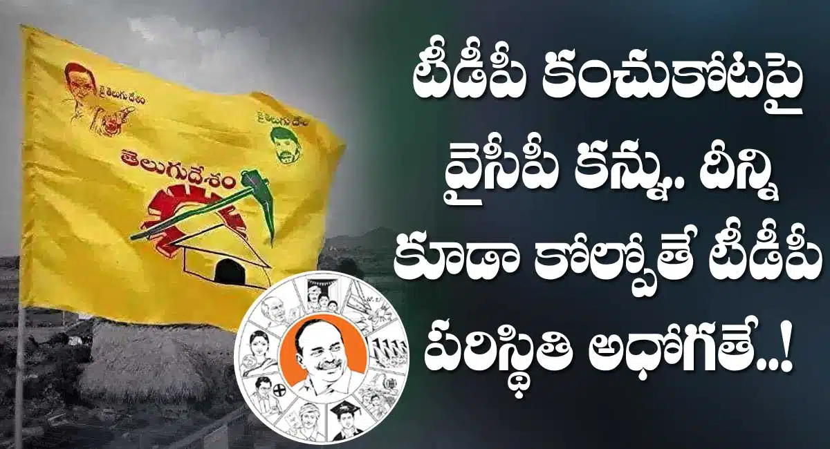 Ysrcp focus on bheemili constituency