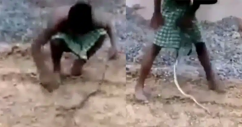 Viral Video A Boy Play With Snak unbuttoned lungi his ran