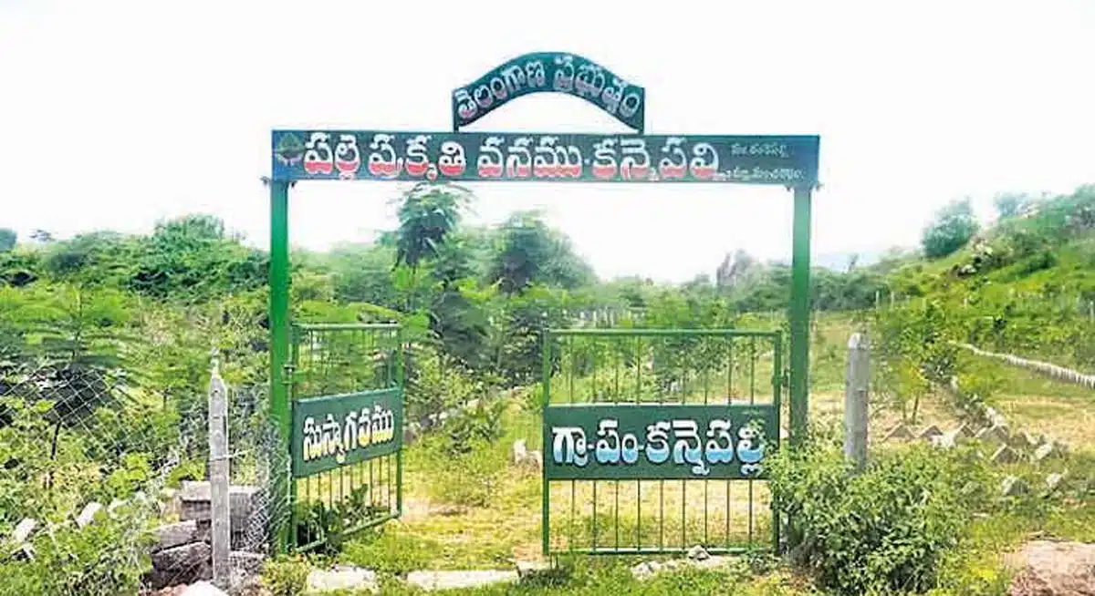 adilabad district kannepalli village developed