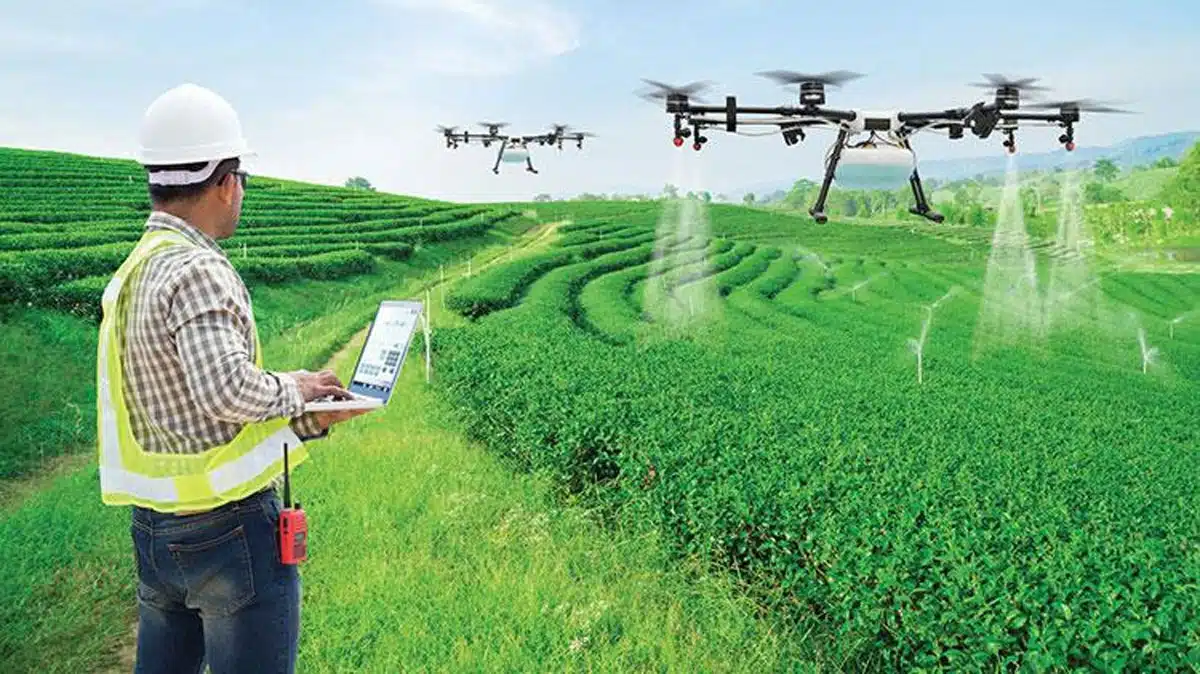 drones used in crops to spray chemicals in warangal