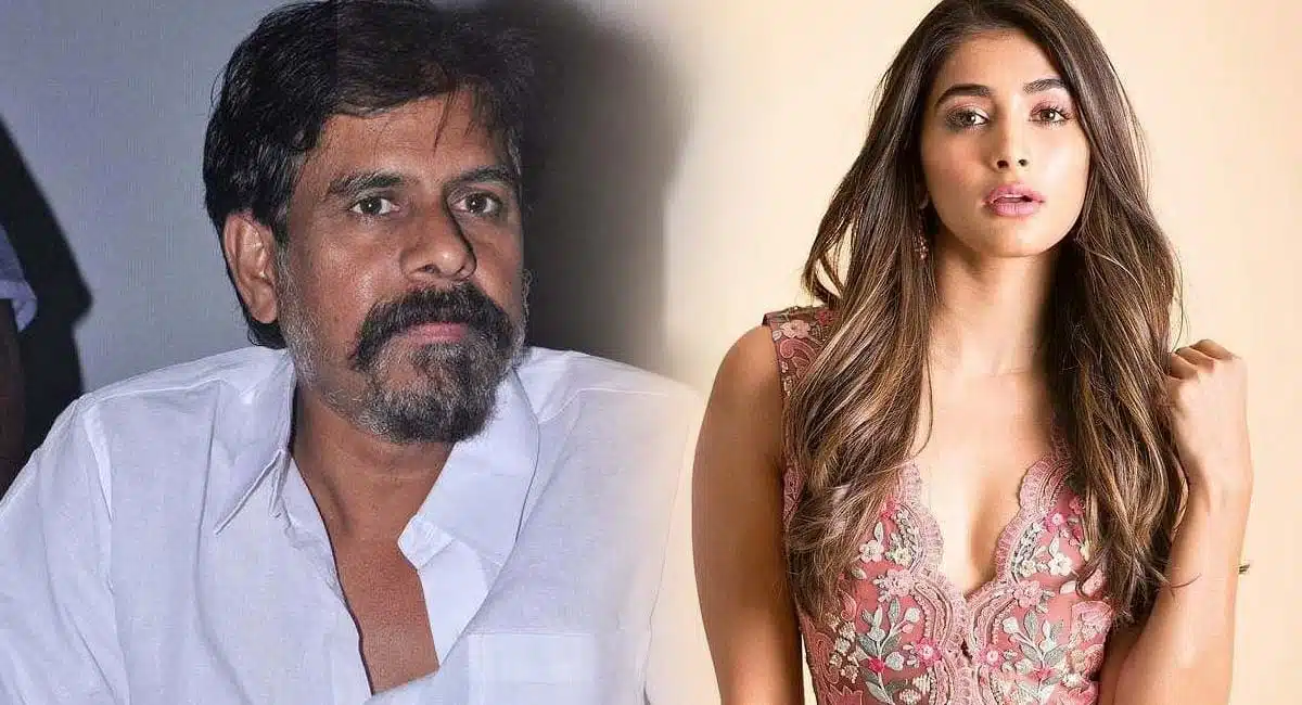 selvamani sensational comments on pooja hegde