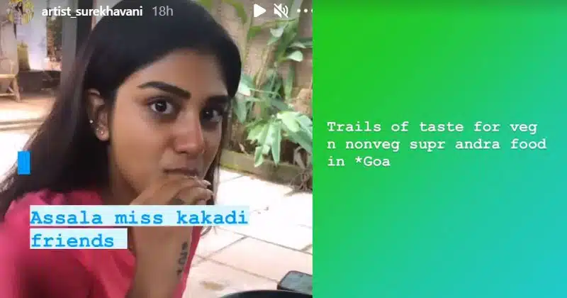 Surekha vani Supritha Food In Goa