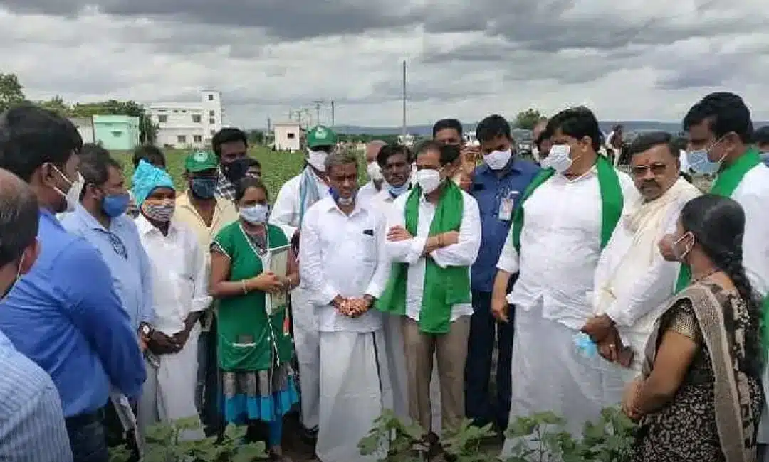 Kadapa..‘పొలంబడి’ని తనిఖీ చేసిన అగ్రికల్చర్ మినిస్టర్