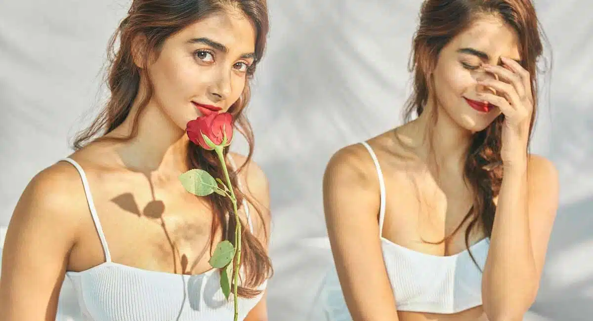 Pooja Hegde Latest Stunnig Pics with Roses