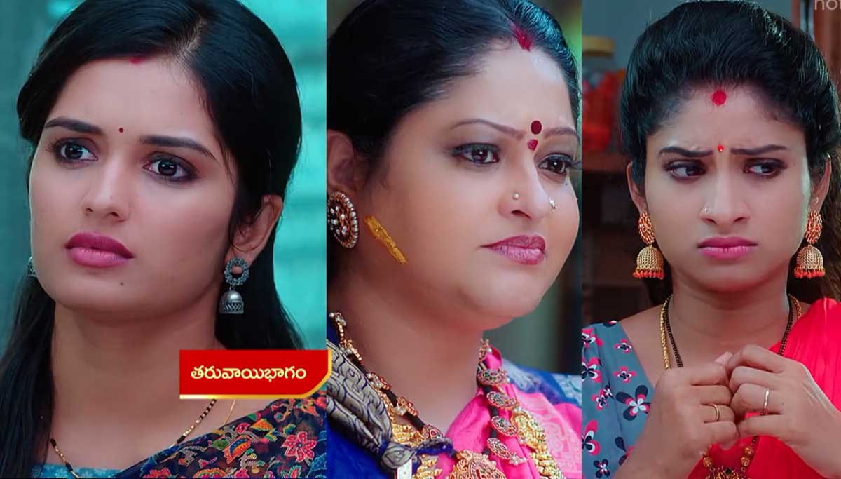 Janaki Kalaganaledu 28 Oct Today Episode : మల్లికపై జానకి సీరియస్.. బుద్ధి లేదా అంటూ జానకి తిడుతుంటే చూసిన జ్ఞానాంబ.. ఆ తర్వాత ఏం జరుగుతుంది?