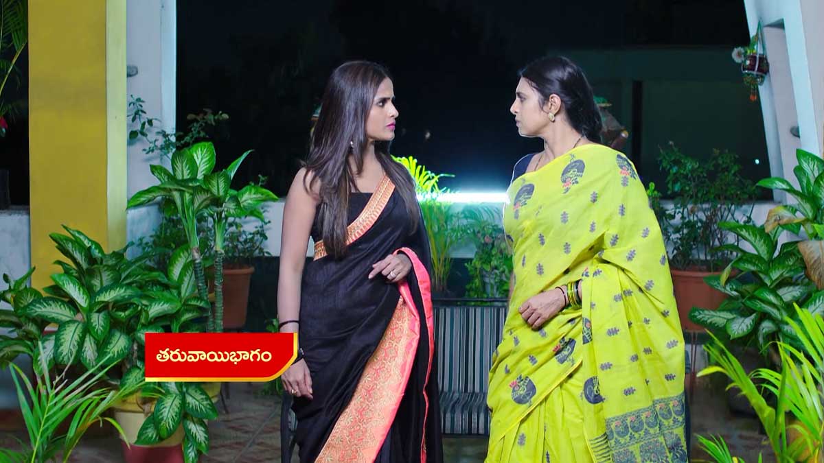 Intinti Gruhalakshmi 31 Oct Today Episode : నిన్ను ఇంట్లో నుంచి గెంటించేస్తా.. అంటూ తులసికి లాస్య వార్నింగ్.. లాస్య బెదిరింపులకు తులసి లొంగుతుందా?