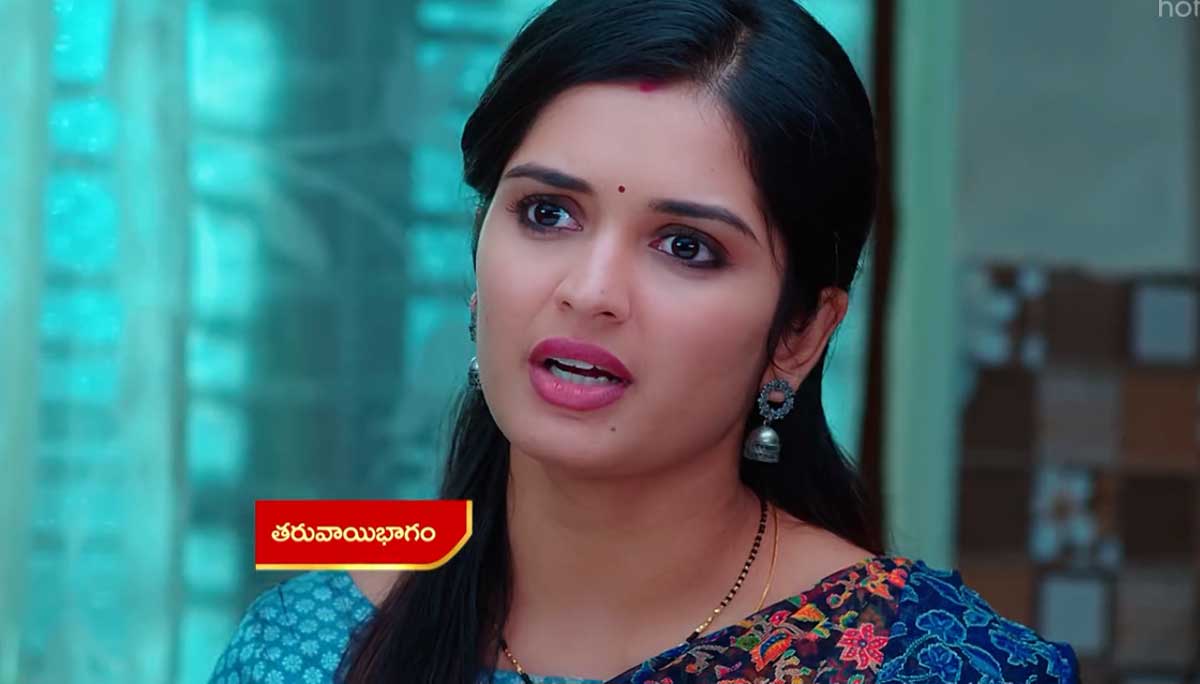 Janaki Kalaganaledu 30 Oct Today Episode : నోర్మూయ్.. మల్లికపై జానకి సీరియస్.. జానకి మాటలు విన్న జ్ఞానాంబ.. తనను ఇంట్లో నుంచి వెళ్లగొడుతుందా?