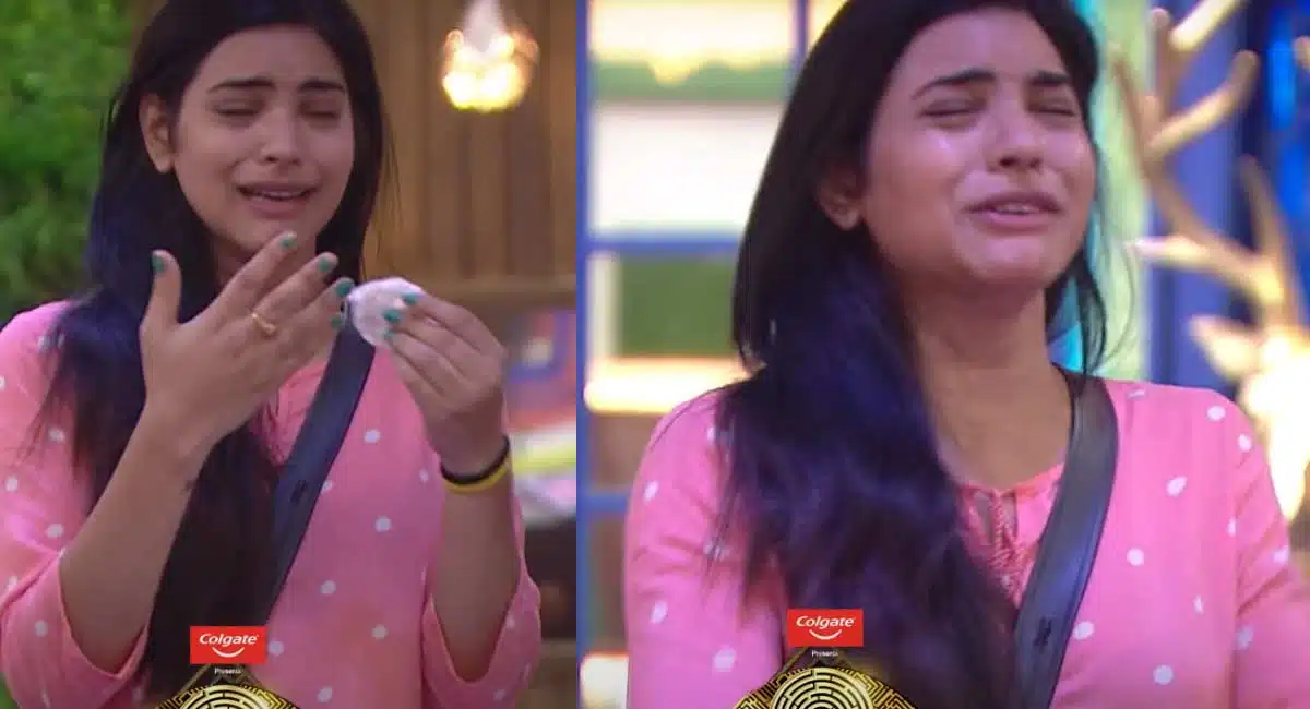 priyanka emotional in bigg boss 5 Telugu