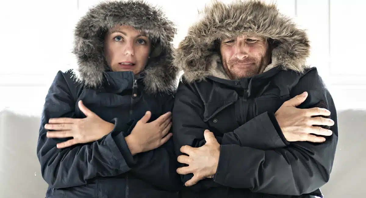 Are You More Cold check these diseases