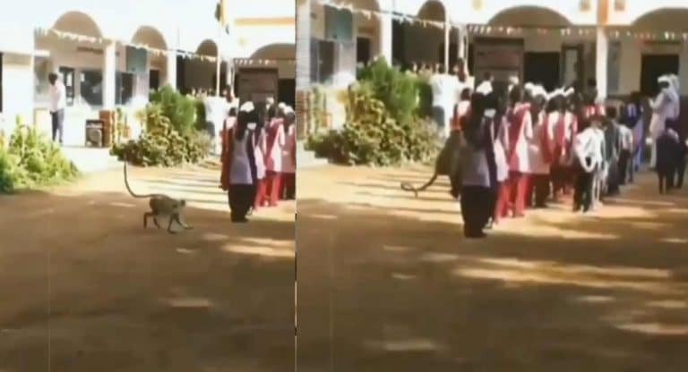 Viral Video : వామ్మో.. స్కూల్లోప్రేర్ చేస్తుండ‌గా స్టూడెంట్‌ను వెన‌క నుంచి వ‌చ్చి తోసేసిన కొండ‌ముచ్చు..!