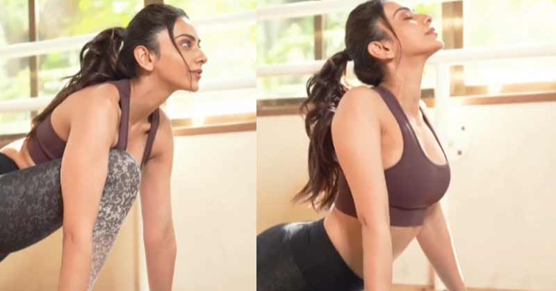 Rakul Preet Singh : ‘స్ప్రింగులా వంగుతోంది రకుల్ ప్రీత్ అందాల విందు.. వీడియో వైరల్