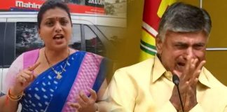 minister roja comments on tdp chief chandrababu