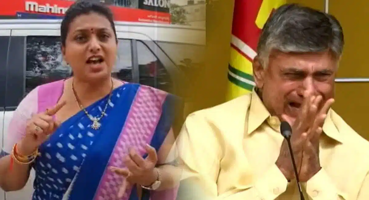 minister roja comments on tdp chief chandrababu