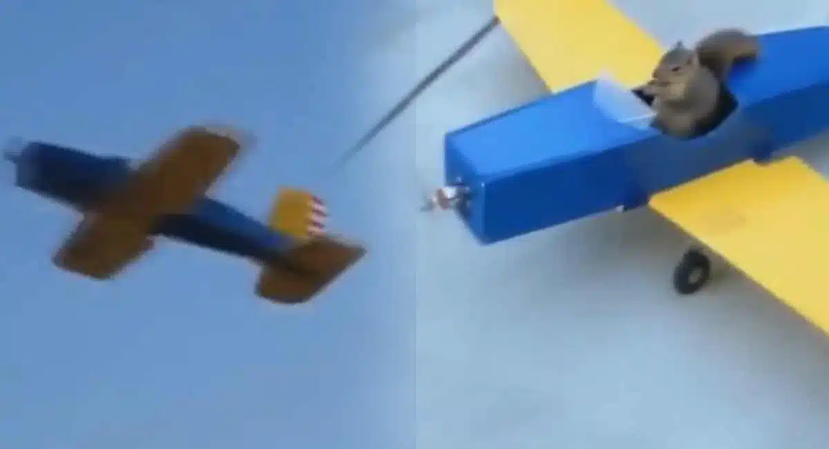 Squirrel flying in helicopter viral video