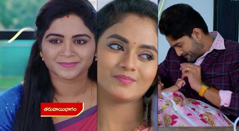 Chelleli Kaapuram 26 Nov Today Episode : వర్షం తండ్రి ఆకాశే అనే నిజం.. భూమి ఆకాశ్ కు చెబుతుందా? ఆకాశ్ గతం గురించి భూమిని ఎందుకు అడిగాడు?