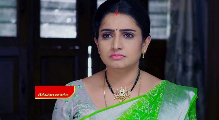 Vadinamma 18 Nov Today Episode : జనార్ధన్ ప్లాన్ సక్సెస్.. శైలూ, లక్ష్మణ్ కు ఇంటికి పిలిపించుకొని.. అన్నదమ్ముల మధ్య మరో చిచ్చు..
