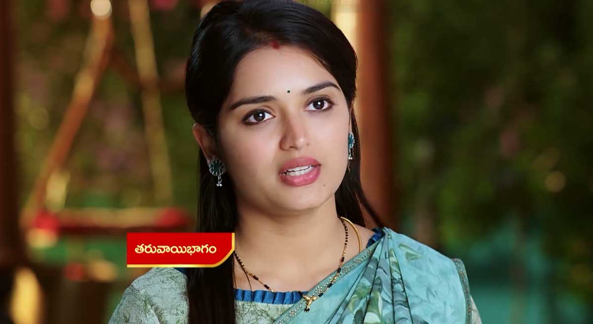 Janaki Kalaganaledu 14 Nov Today Episode : జానకి అసలు స్వరూపం జ్ఞానాంబ తెలుసుకుందా? పనోడితో జానకి అన్న మాటలు జ్ఞానాంబను ఉద్దేశించేనా?