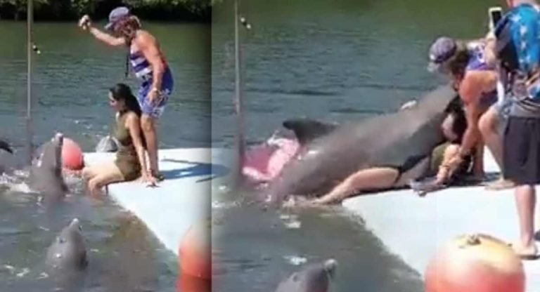 Viral Video : వామ్మో ఏందిది… డాల్ఫిన్ అమ్మాయిపైకొచ్చి అలా చేసిందేంటి..!