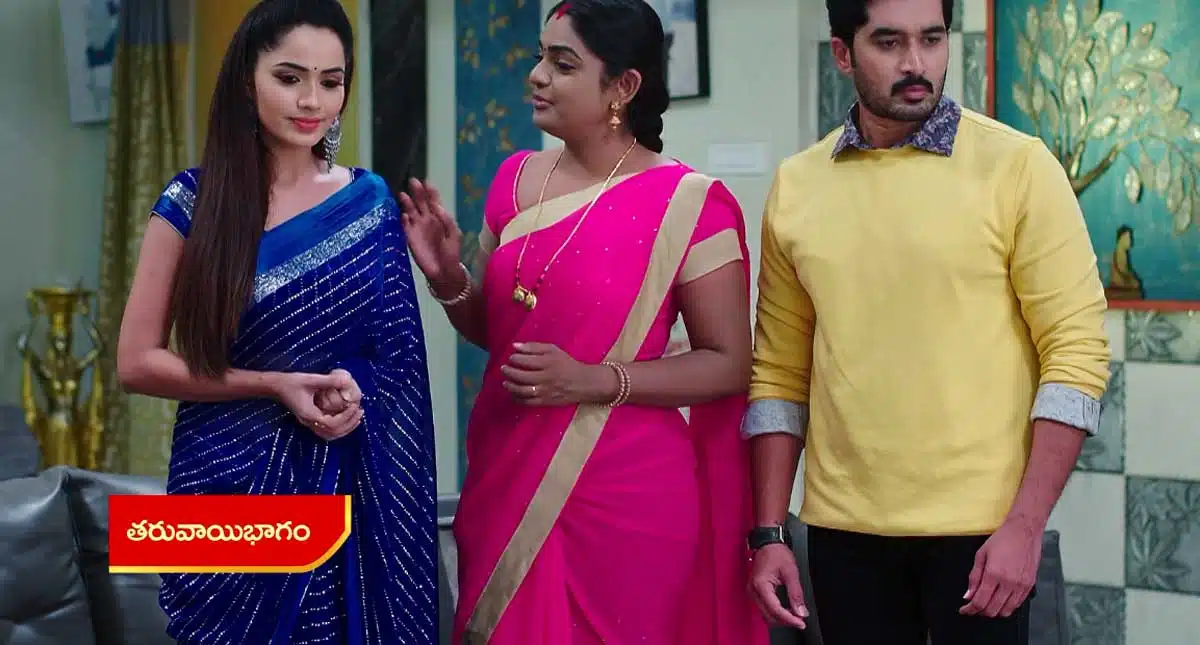 karthika deepam 19 november 2021 full episode