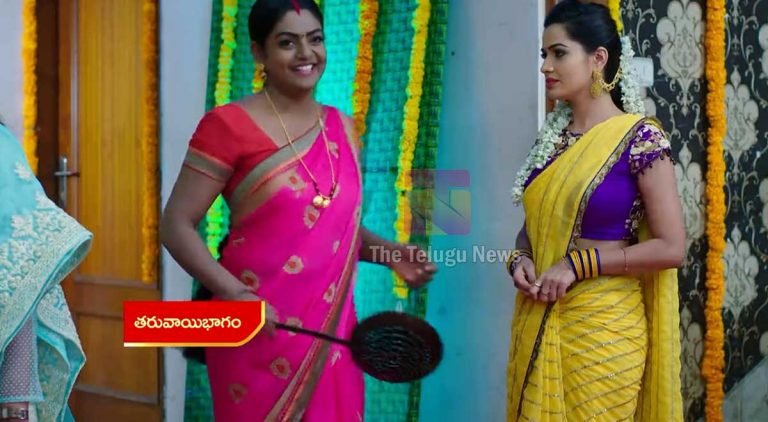 Karthika Deepam 22 Nov Today Episode: మోనిత కొడుకు బారసాలలో వంటలు చేసిన దీప.. బారసాలలో కార్తీక్ ను మోనితకు అప్పగించి దీప వెళ్లిపోనుందా?
