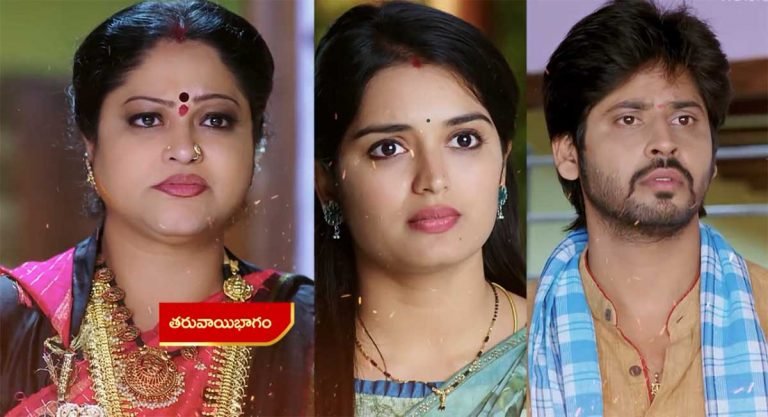 Janaki Kalaganaledu 13 Nov Today Episode : జానకి పనోడితో అన్న మాటలకు జ్ఞానాంబకు షాక్.. జ్ఞానాంబ తనను హింసిస్తోందని ఇన్ డైరెక్ట్ గా చెప్పిందా?