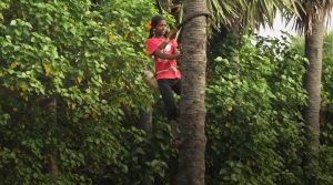 9th class girl climbing palm tree for toddy in tamilnadu villupuram